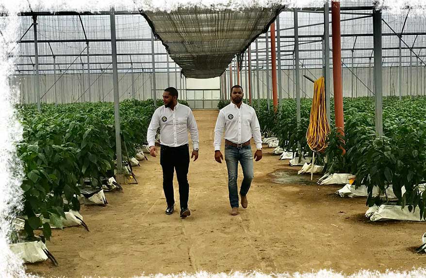 CJ Tropical acquired its farms