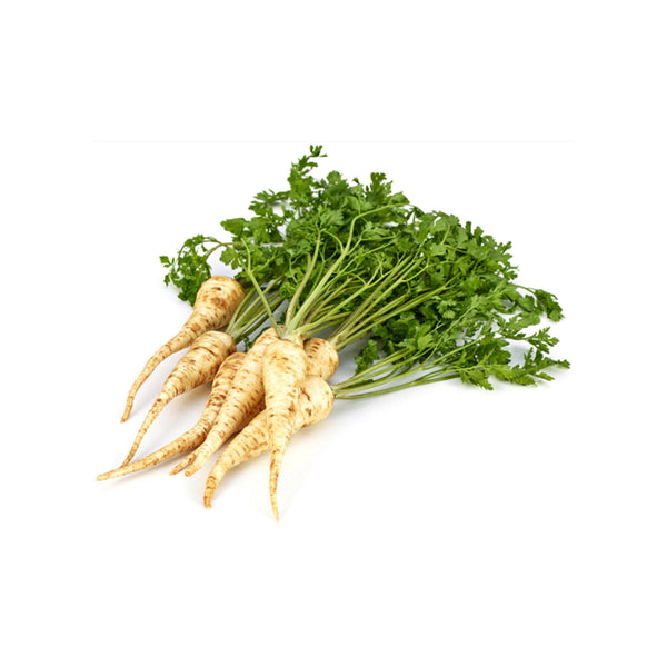 PARSLEY ROOT – CJ Tropical Corp