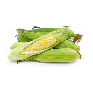 Corn