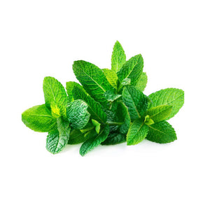 Mint