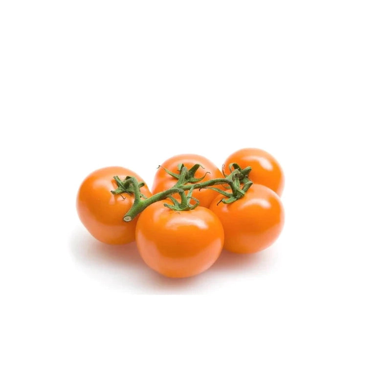 Vine Tomato